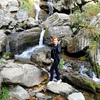 Лариса, 45, г.Киров Лариса, 45, г.Киров