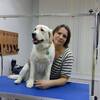 Светлана, 39, г.Надым Светлана, 39, г.Надым
