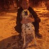 алексей, 40, г.Нижний Новгород алексей, 40, г.Нижний Новгород