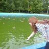 Анна, 25, г.Пичаево Анна, 25, г.Пичаево