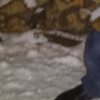 Алексей, 20, г.Чебоксары Алексей, 20, г.Чебоксары