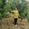 Любовь, 62, г.Норильск Любовь, 62, г.Норильск