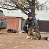 Goy, 32, г.Тихвин Goy, 32, г.Тихвин