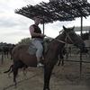 Alex, 42, г.Ярославль Alex, 42, г.Ярославль