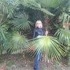 Елена, 35, г.Симферополь Елена, 35, г.Симферополь