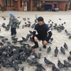 Обичний простой, 27, г.Лобня Обичний простой, 27, г.Лобня