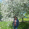 Елена, 44, г.Белгород Елена, 44, г.Белгород