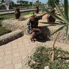 Vitaliy, 48, г.Медвежьегорск Vitaliy, 48, г.Медвежьегорск