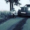 Армен, 32, г.Острогожск Армен, 32, г.Острогожск