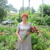 ЛЮБОВЬ, 64, г.Куркино ЛЮБОВЬ, 64, г.Куркино