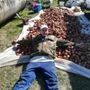 Олег, 30, г.Барнаул Олег, 30, г.Барнаул
