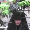 Lex, 34, г.Иваново Lex, 34, г.Иваново