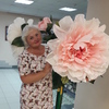 Лия, 51, г.Йошкар-Ола Лия, 51, г.Йошкар-Ола