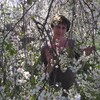 елена, 42, г.Сызрань елена, 42, г.Сызрань