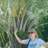 Ирина, 45, г.Новый Уренгой Ирина, 45, г.Новый Уренгой