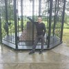 Анатолий, 36, г.Чердынь Анатолий, 36, г.Чердынь