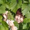 Евгения, 62, г.Кострома Евгения, 62, г.Кострома