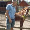 Дима, 29, г.Шаховская Дима, 29, г.Шаховская