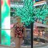 лиза, 67, г.Железногорск лиза, 67, г.Железногорск