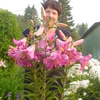 татьяна, 60, г.Советский (Тюменская обл.) татьяна, 60, г.Советский (Тюменская обл.)