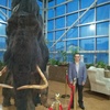 Василий, 42, г.Якутск Василий, 42, г.Якутск