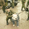Александр, 34, г.Пушкино Александр, 34, г.Пушкино