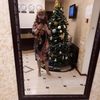 Людмила, 51, г.Раменское Людмила, 51, г.Раменское