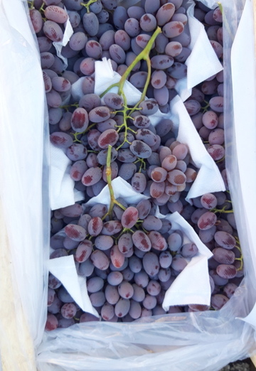 Чи (@chingiz1987) — моя фотография № 1