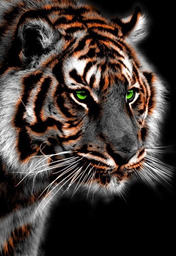 Алик (@alik43527) — моя фотография № 7