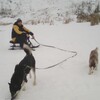ВОВА, 42, г.Каменск-Уральский ВОВА, 42, г.Каменск-Уральский