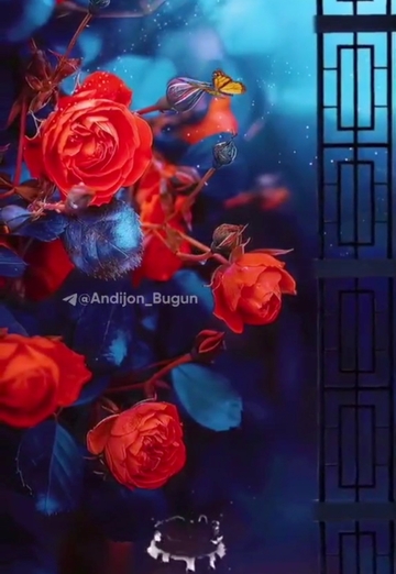 Лучшее имя на свете (@luchsheeimyanasvete14964) — моя фотография № 1