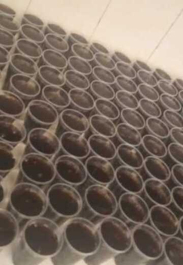 Чоник (@chonik295) — моя фотография № 1