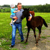 Серый, 39, г.Ясногорск Серый, 39, г.Ясногорск
