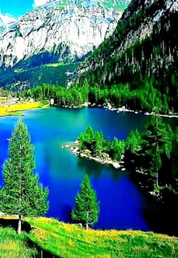 Чоник (@chonik229) — моя фотография № 1