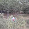 Наталья, 48, г.Камень-на-Оби Наталья, 48, г.Камень-на-Оби