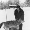 joy, 66, г.Медведево joy, 66, г.Медведево
