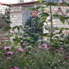 Алексей, 41, г.Урюпинск Алексей, 41, г.Урюпинск