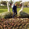 ваня, 27, г.Александров ваня, 27, г.Александров