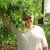 Александра, 75, г.Великий Новгород (Новгород) Александра, 75, г.Великий Новгород (Новгород)