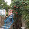 Светлана, 58, г.Ногинск Светлана, 58, г.Ногинск
