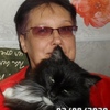 Светлана, 49, г.Коряжма Светлана, 49, г.Коряжма