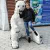 Алла, 39, г.Хабаровск Алла, 39, г.Хабаровск