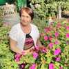 Екатерина, 73, г.Константиновск Екатерина, 73, г.Константиновск