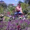 Елена, 56, г.Курск Елена, 56, г.Курск