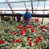 Сергей, 38, г.Рязань Сергей, 38, г.Рязань