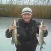 алексей, 41, г.Елань алексей, 41, г.Елань