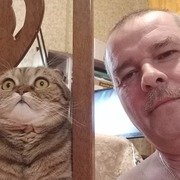 Андрей 51 Домодедово