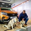 Владимир Фарафонов, 36, г.Белгород Владимир Фарафонов, 36, г.Белгород