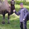 vlabislav, 41, г.Белебей vlabislav, 41, г.Белебей