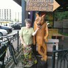 Елена, 61, г.Сыктывкар Елена, 61, г.Сыктывкар